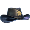 Lone Ranger's Brim