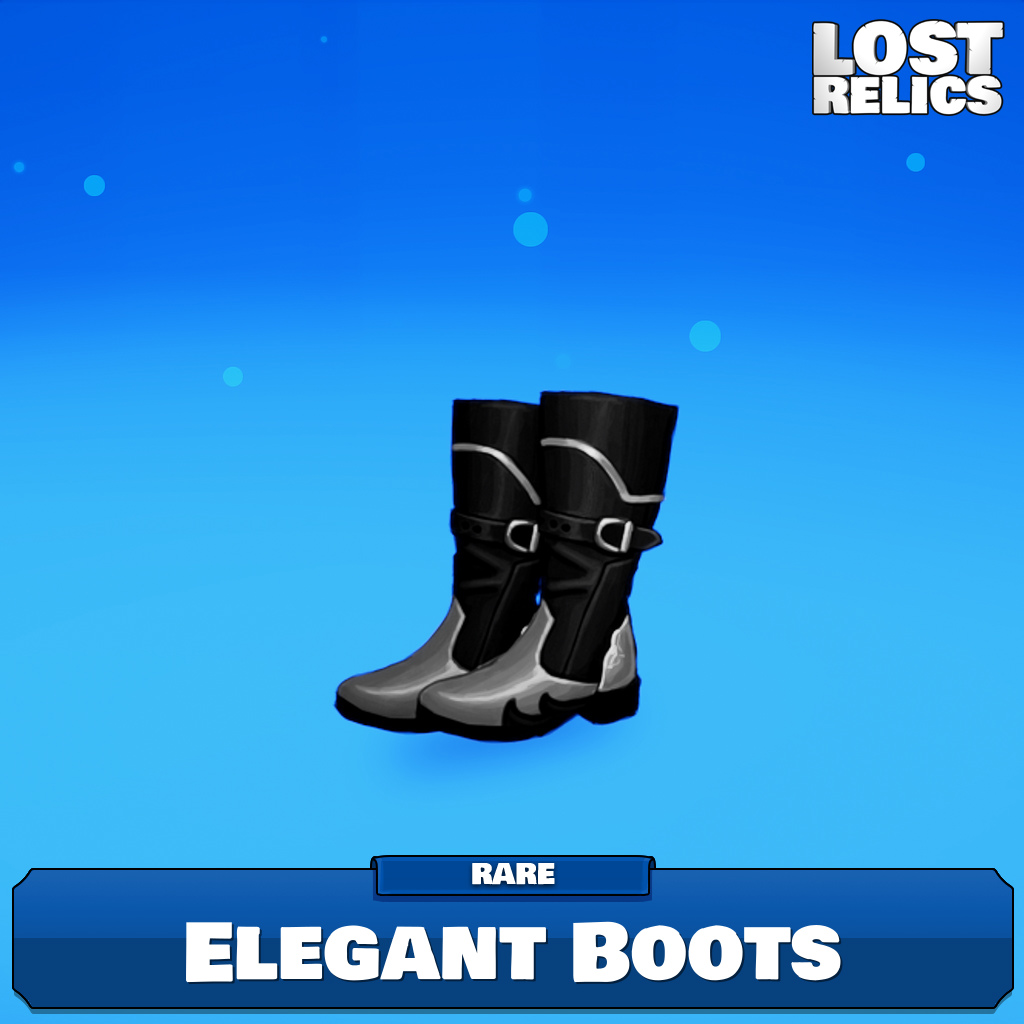 Elegant Boots Image