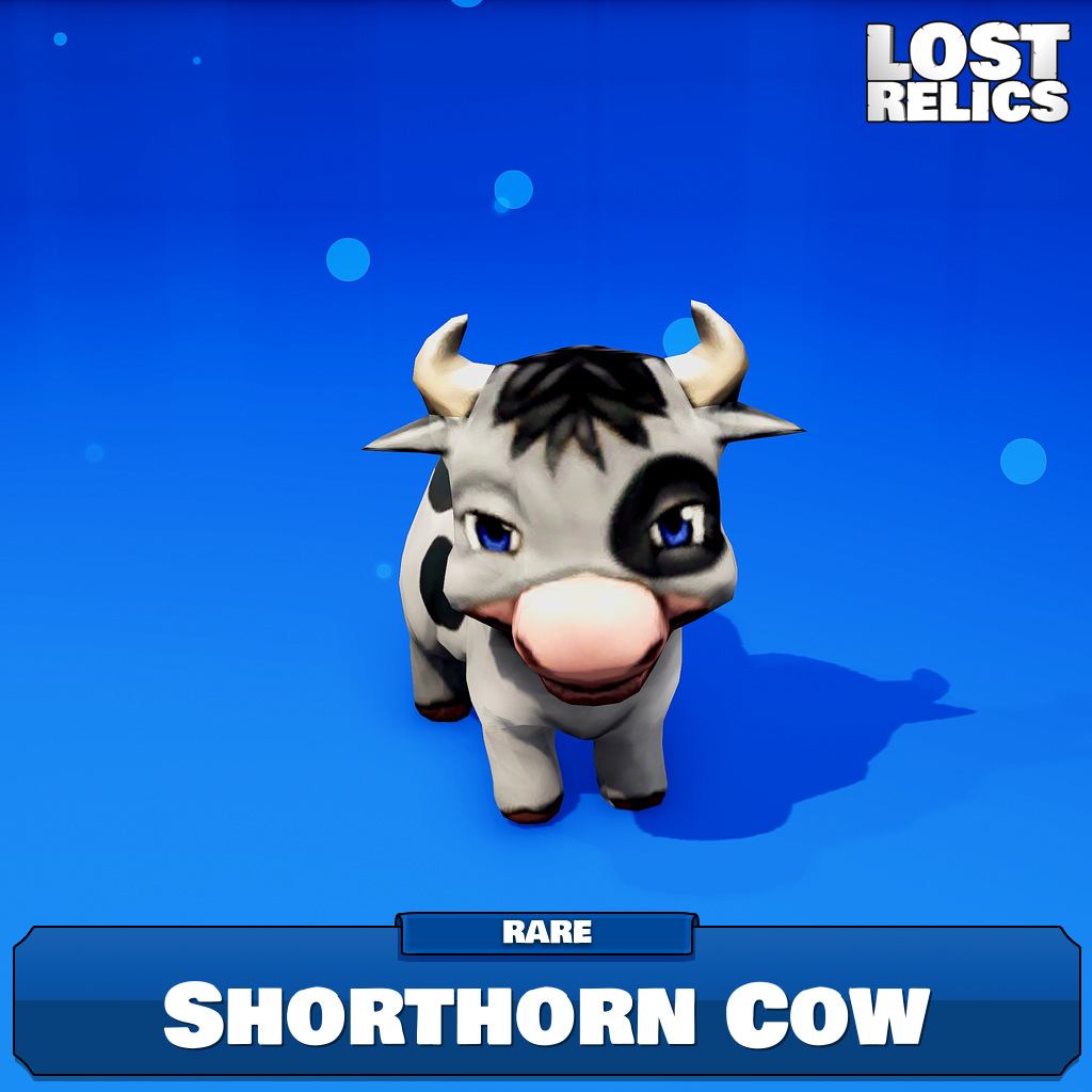 Shorthorn Cow Image