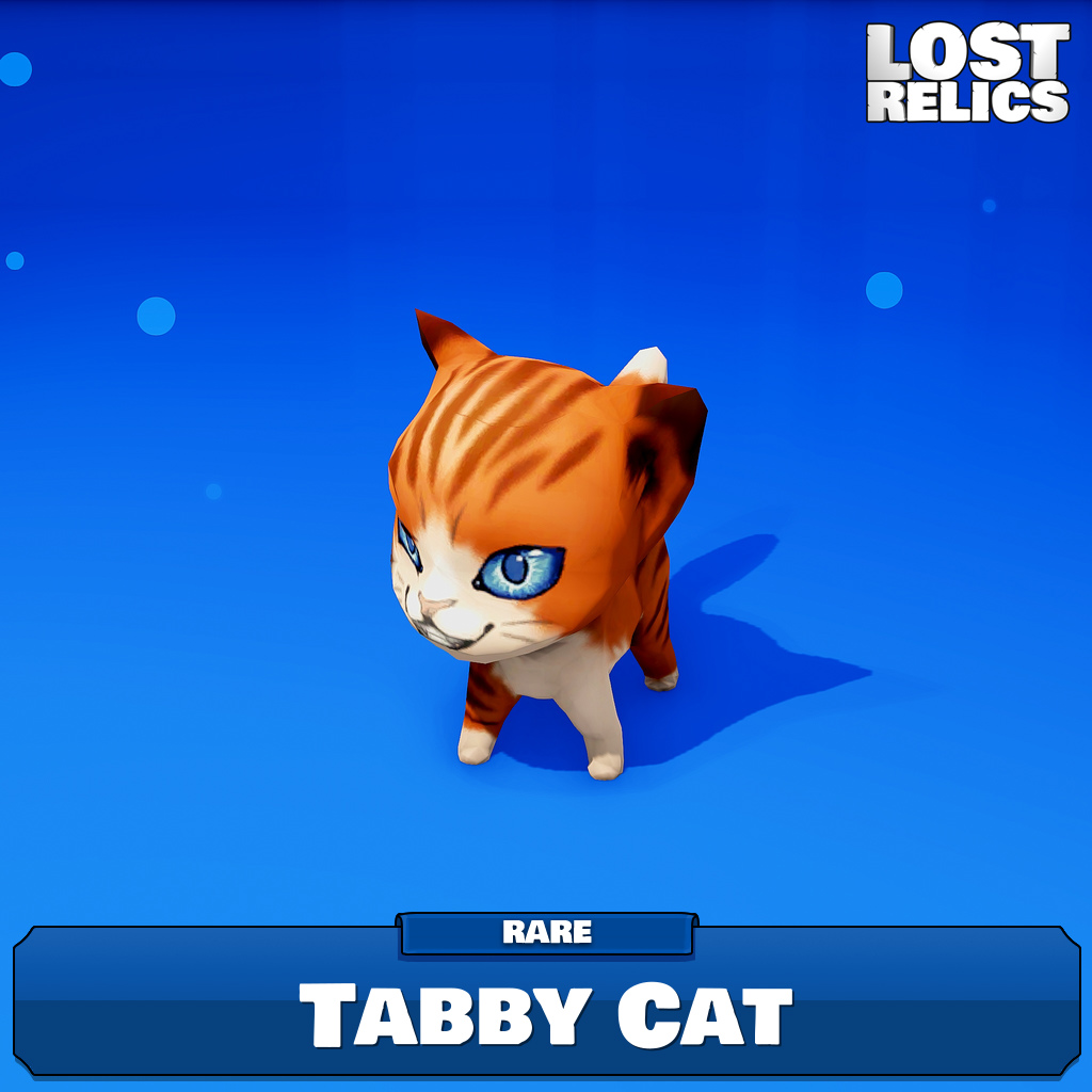 Tabby Cat Image