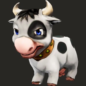 Shorthorn Cow