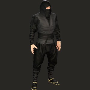 Ninja Kage