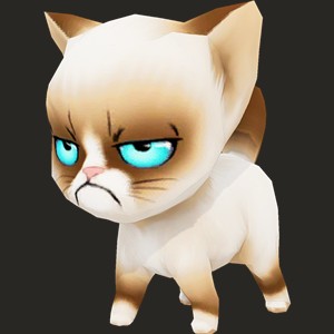 Cranky Cat