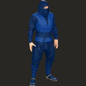 Ninja Besuto