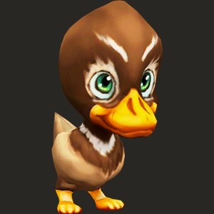 Umber Duck